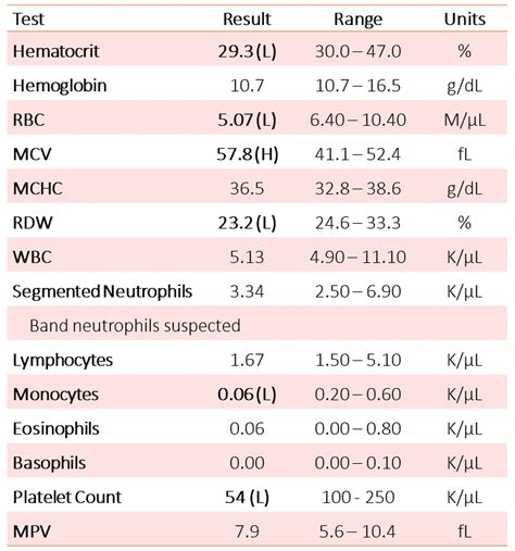 cbc test lymphoma|lymphoma with normal cbc.